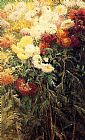 Gustave Caillebotte Famous Paintings - Chrysanthemums Garden at Petit Gennevilliers